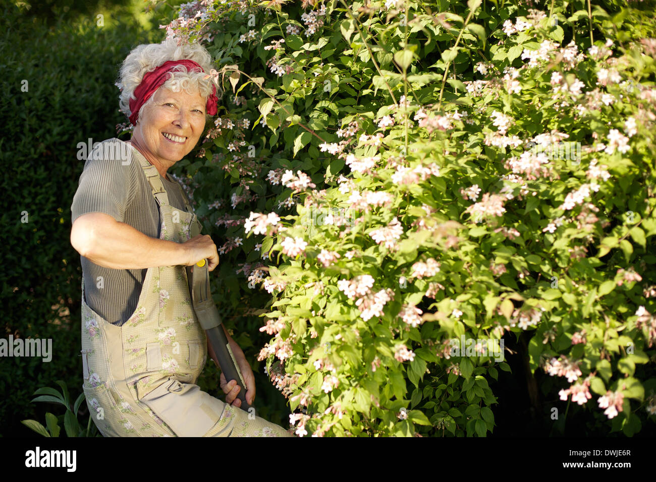 Portrait of senior woman creuser le sol avec une pelle à jardin. La femme travaillant avec des outils de jardinage dans la cour Banque D'Images