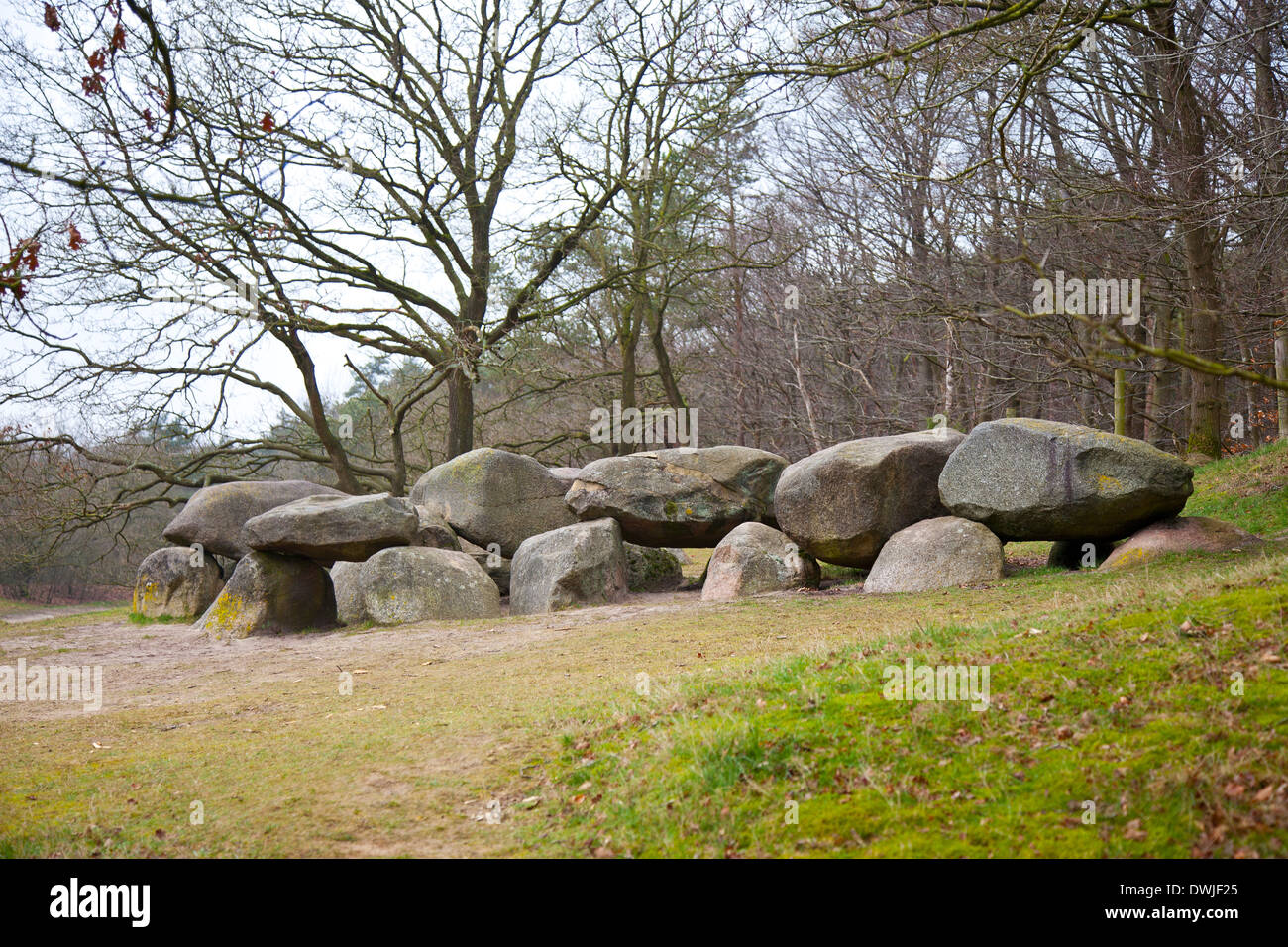 Old Stone tombe dolmen dans Drenthe, Pays-Bas Banque D'Images
