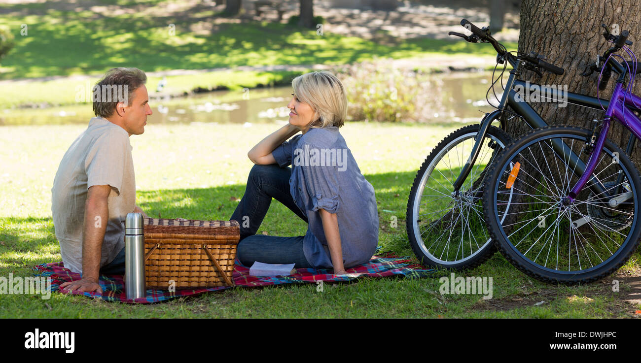 Couple enjoying picnic in park Banque D'Images