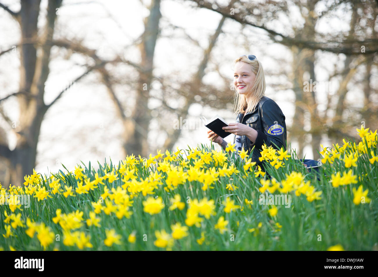 Une fille lire un livre tout en étant entouré par les jonquilles. Banque D'Images