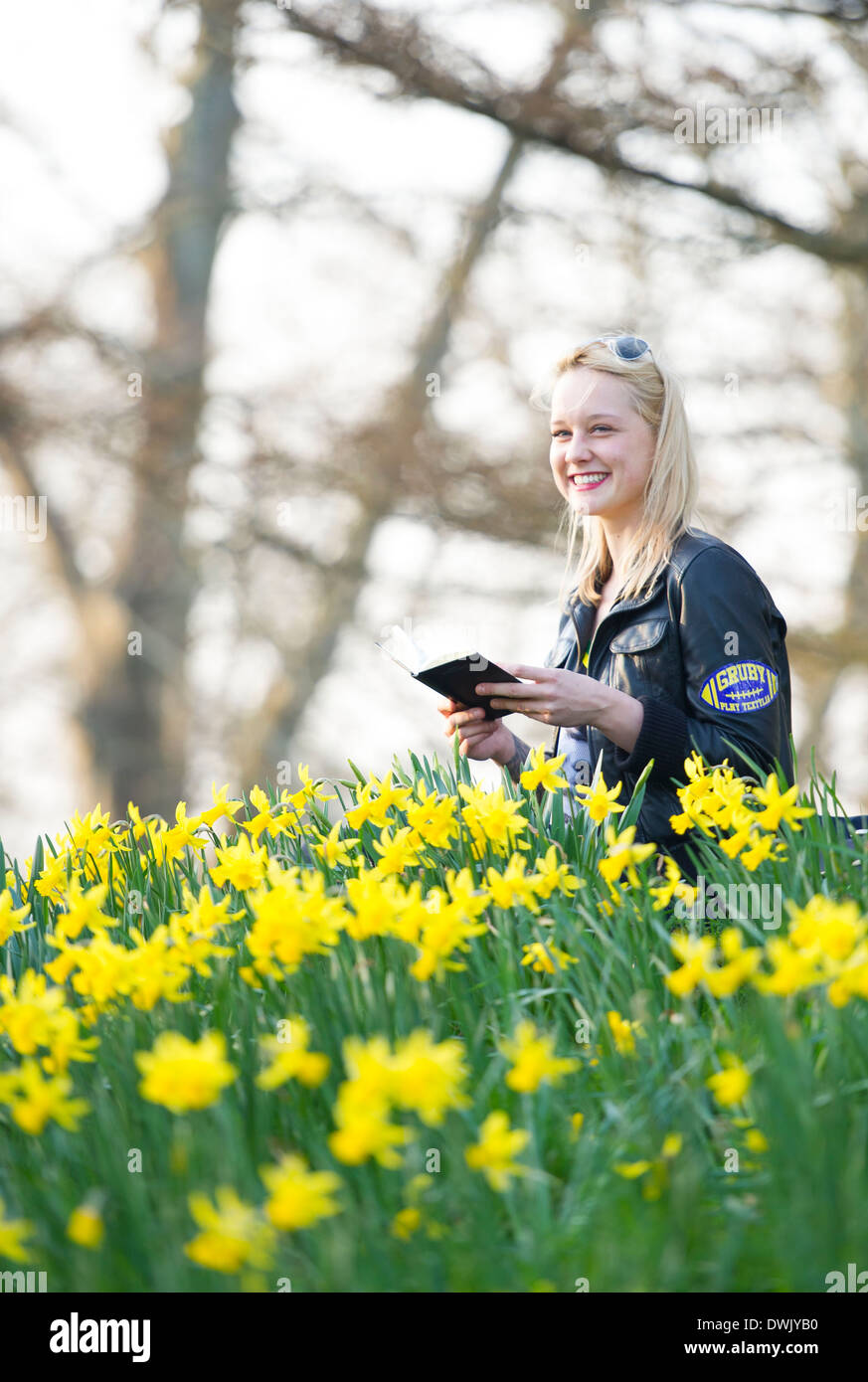 Une fille lire un livre tout en étant entouré par les jonquilles. Banque D'Images
