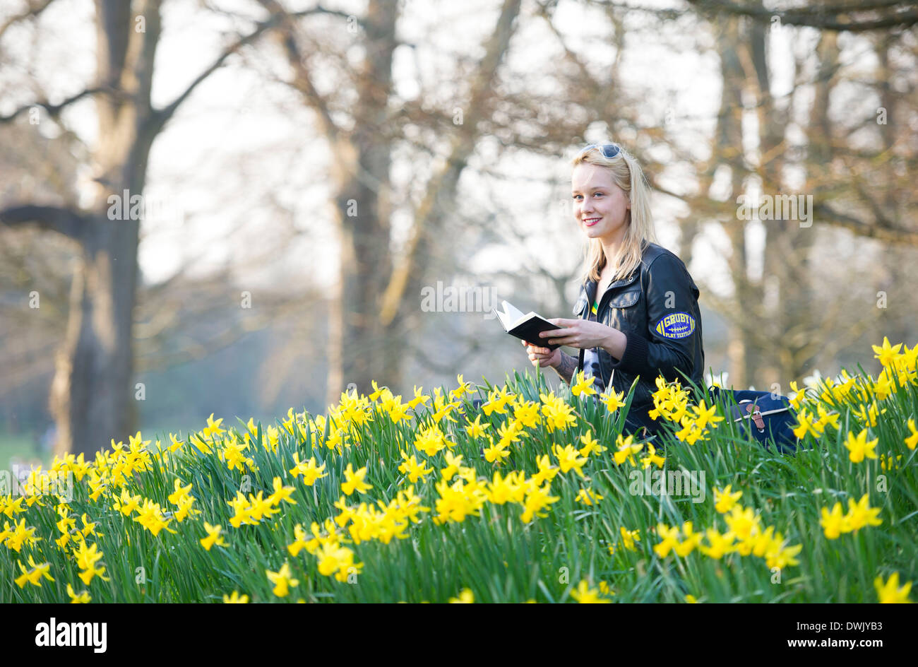 Une fille lire un livre tout en étant entouré par les jonquilles. Banque D'Images