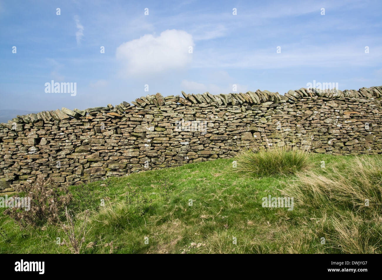 Mur de pierre dans le parc national de Peak District Derbyshire, Angleterre Royaume-Uni UK Banque D'Images
