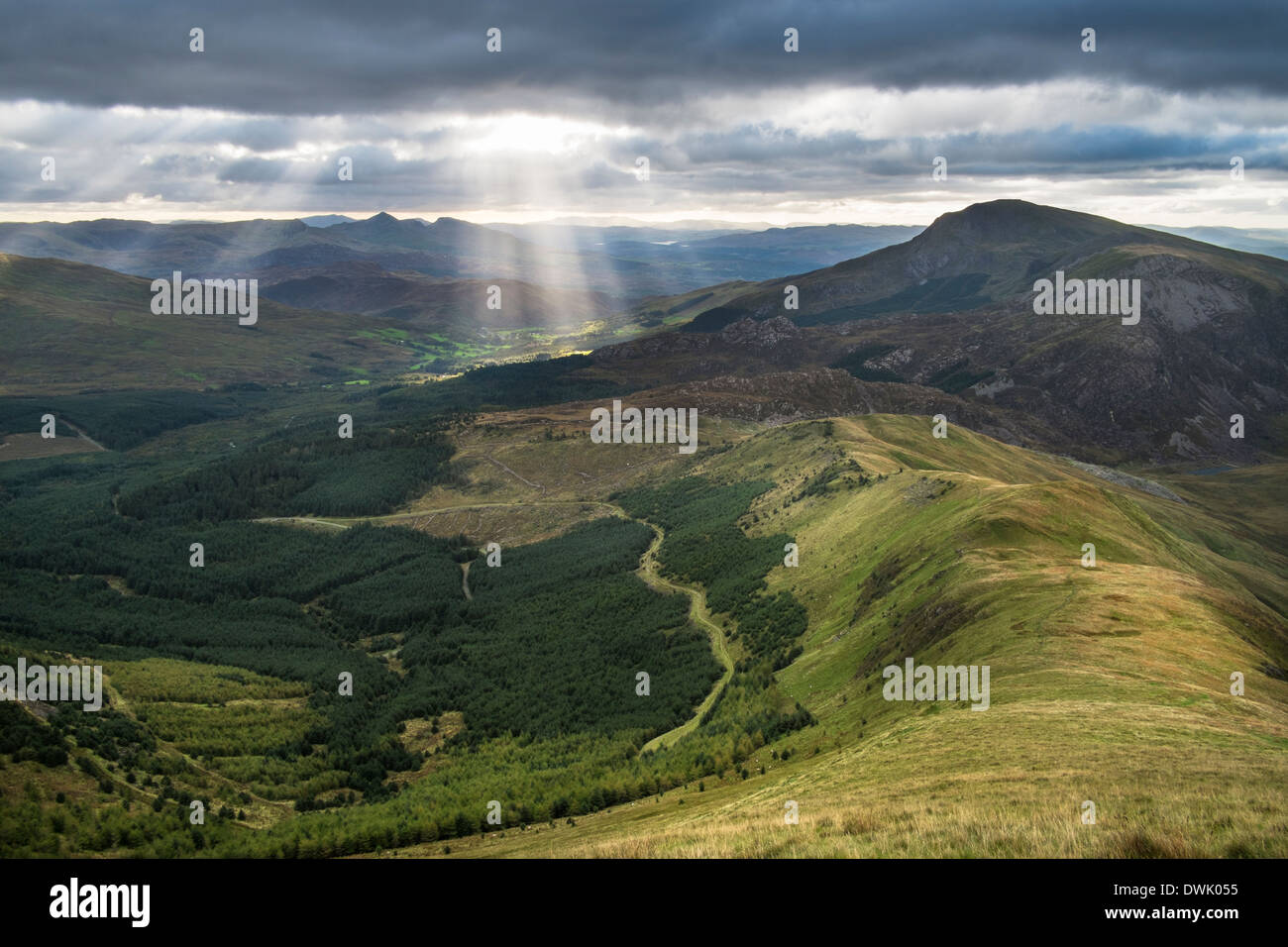 Tôt le matin de la lumière sur les arbres et forêts de Beddgelert Moel Hebog, Snowdonia, le Nord du Pays de Galles Banque D'Images