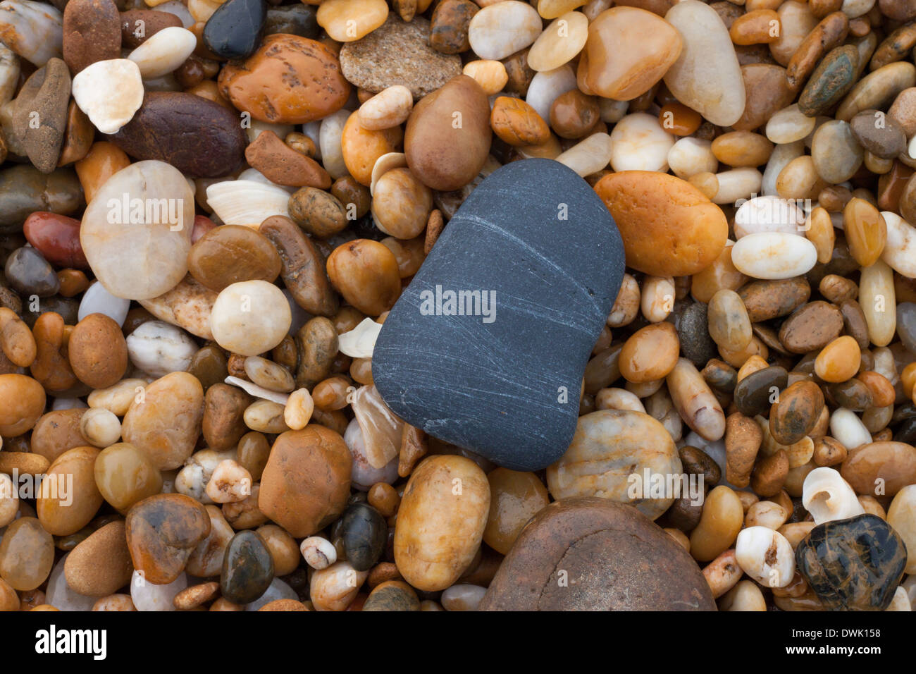 De petites pierres de l'océan Banque D'Images
