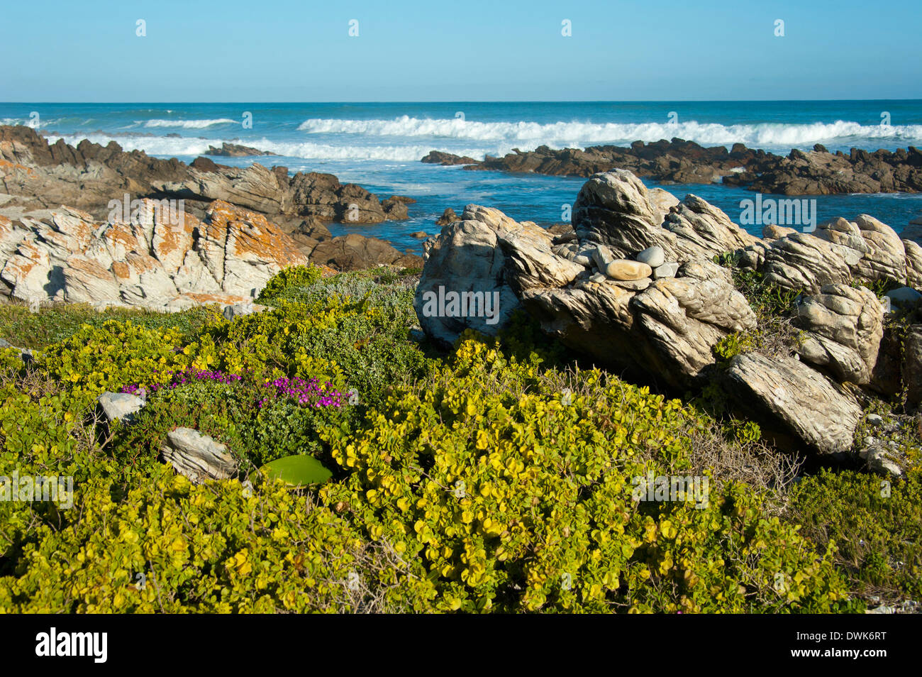 Cape Agulhas Banque D'Images