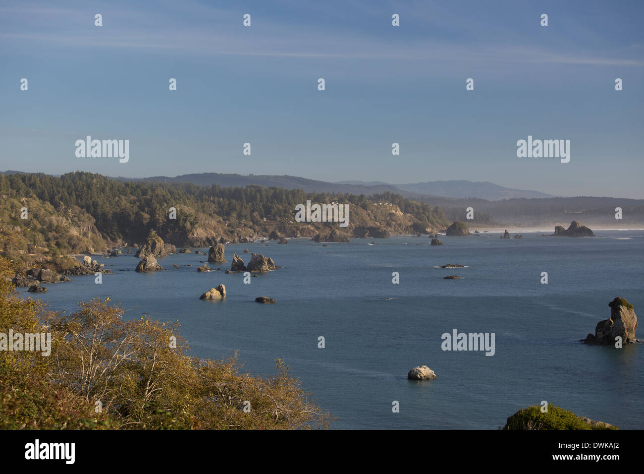 La Californie du nord du port de la Trinité Banque D'Images