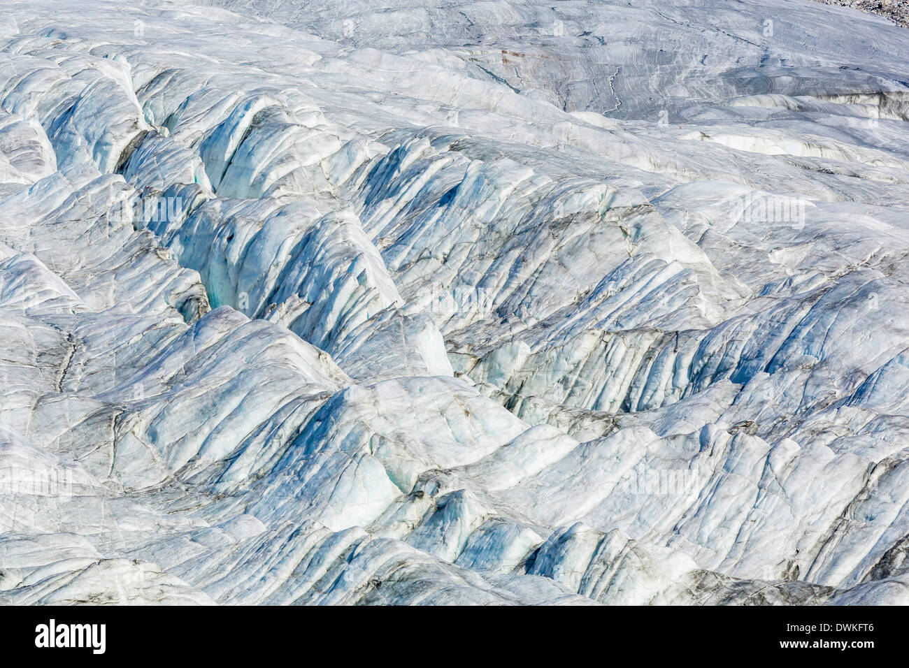 En détail Glacier bras glacés, l'île de Baffin, Nunavut, Canada, Amérique du Nord Banque D'Images