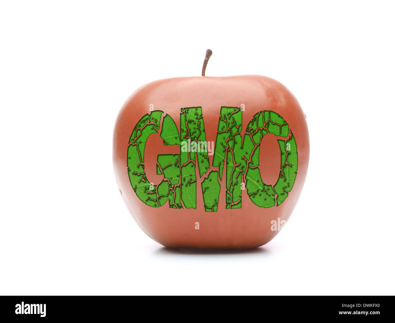 Pomme rouge vert avec l'acronyme OGM shot on white Banque D'Images