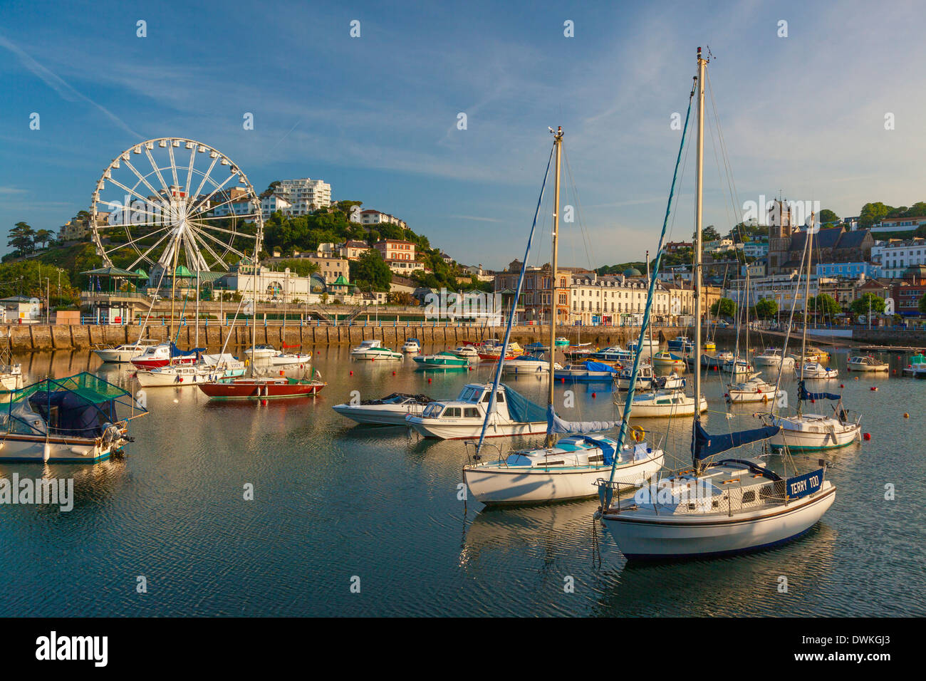 Le port de Torquay, Devon, Angleterre, Royaume-Uni, Europe Banque D'Images