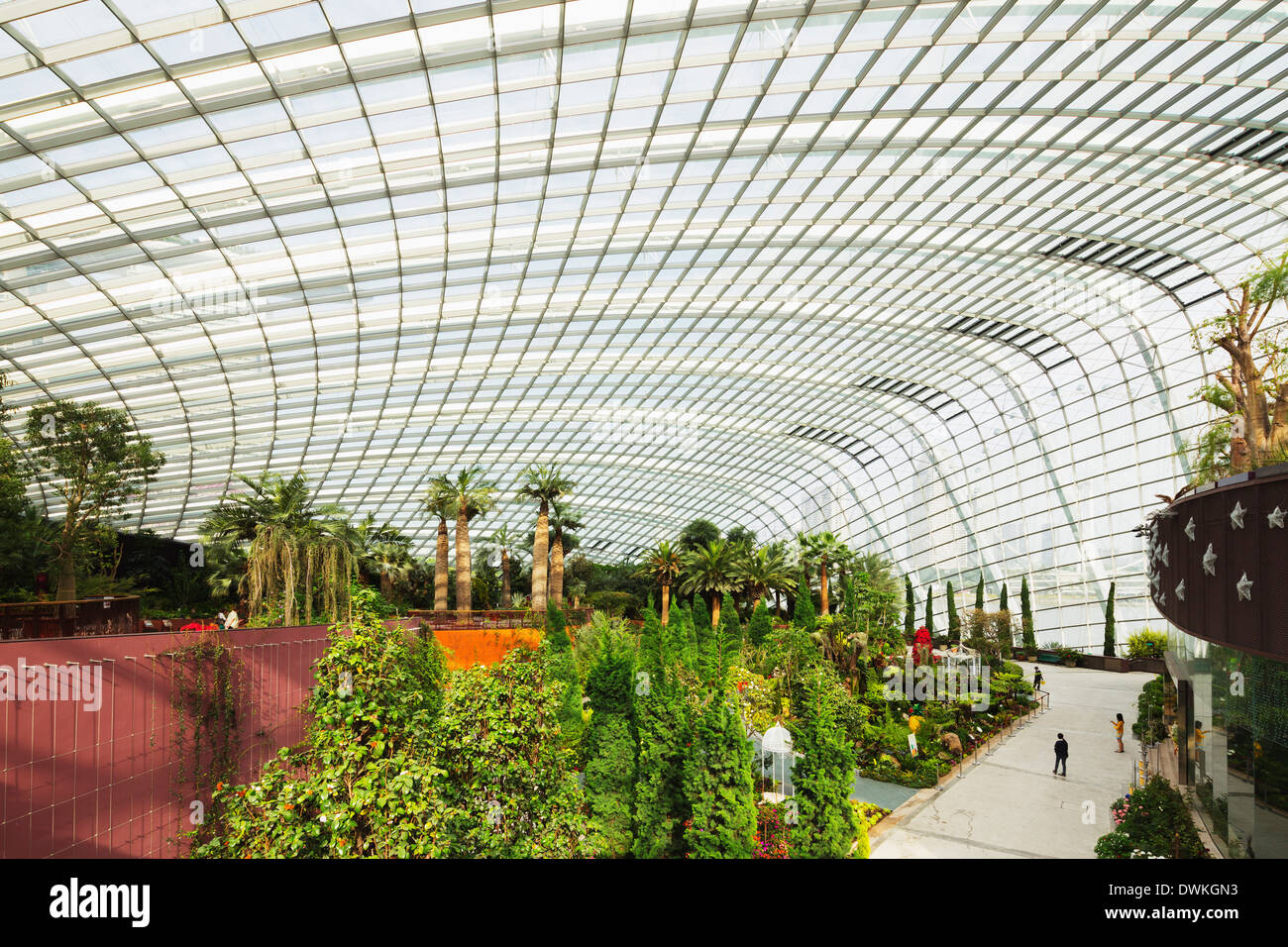 Gardens by the Bay, jardin de fleurs, jardins botaniques, Singapour, en Asie du Sud-Est, l'Asie Banque D'Images