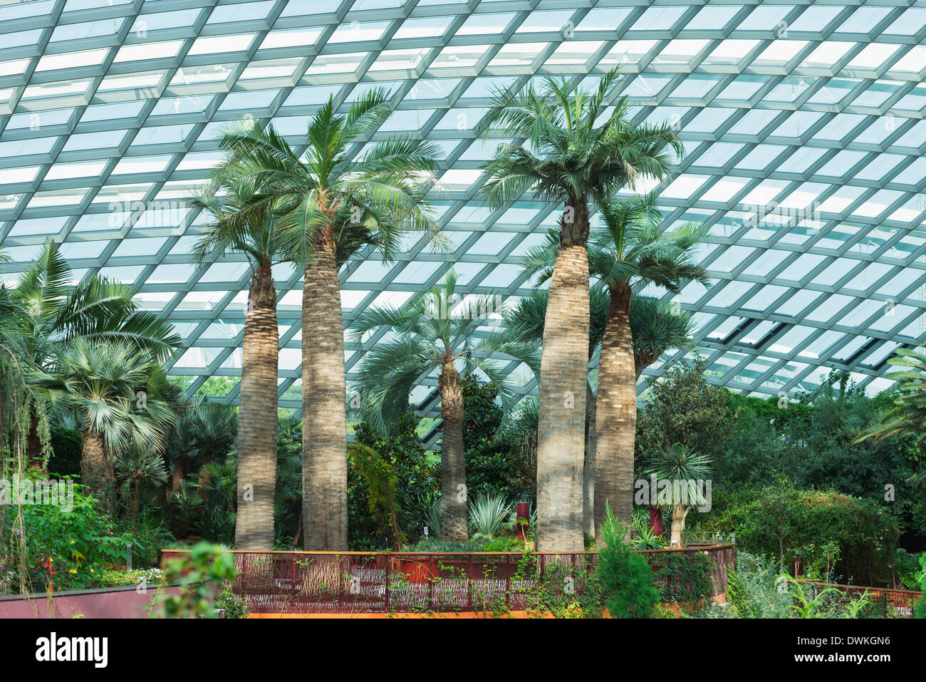 Gardens by the Bay, jardin de fleurs, jardins botaniques, Singapour, en Asie du Sud-Est, l'Asie Banque D'Images