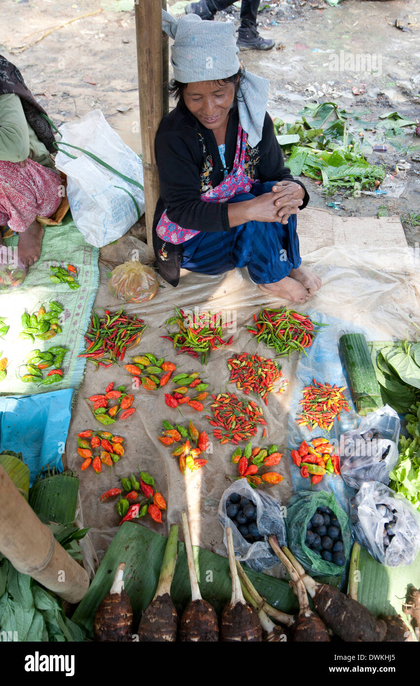 Femme de Naga à son échoppe de marché vendant une sélection de différents piments, Tizit marché, Nagaland, l'Inde, l'Asie Banque D'Images