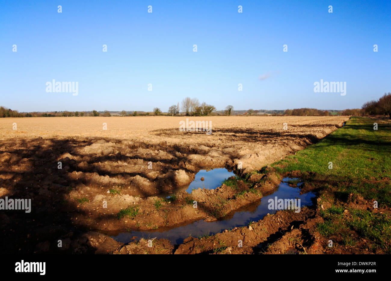 Un champ fraîchement labourés avec tracteur boueux tournant et pointe sur une ferme arables dans le centre de Norfolk. Banque D'Images