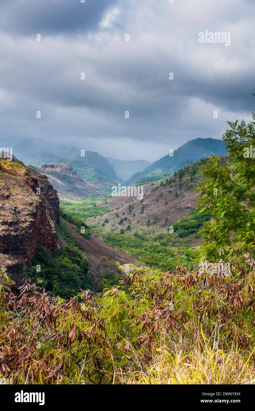 La Vallée de Hanapepe lookout, Kauai, Hawaii, États-Unis d'Amérique, du Pacifique Banque D'Images