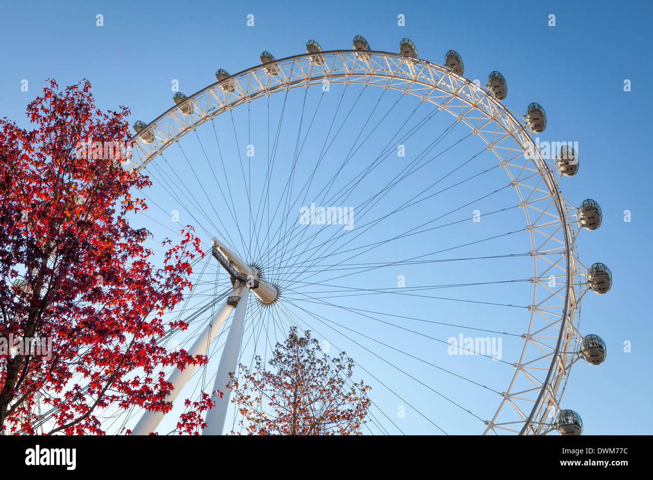 Le London Eye sur une journée ensoleillée, Londres, Angleterre, Royaume-Uni, Europe Banque D'Images