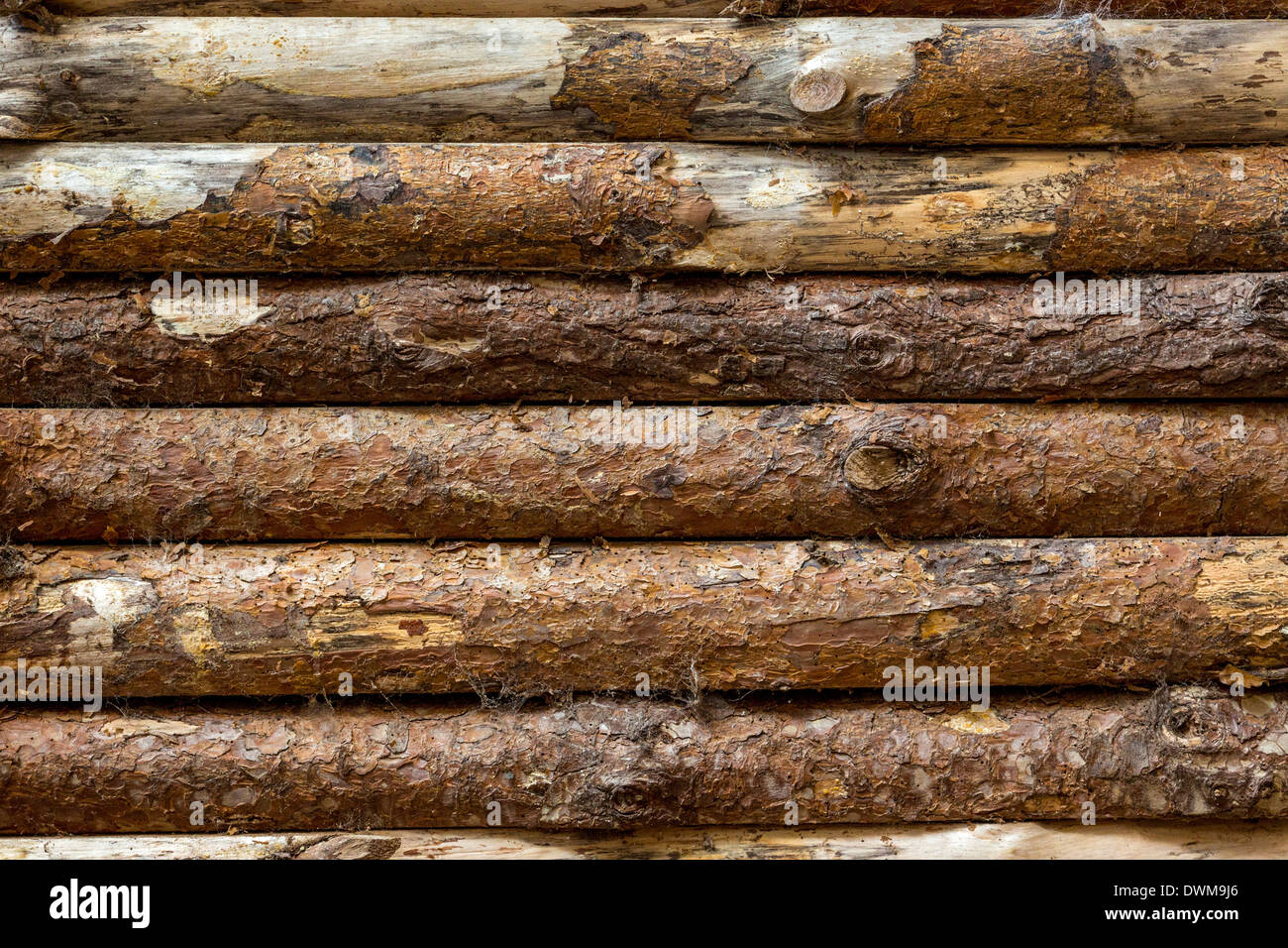 Log cabin mur avec répétition motif de bois de longueurs. Banque D'Images