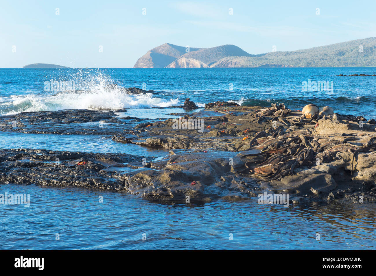 Vagues se brisant sur la côte de l'île de Santiago, Puerto Egas, Galapagos, UNESCO World Heritage Site, Equateur, Amérique du Sud Banque D'Images