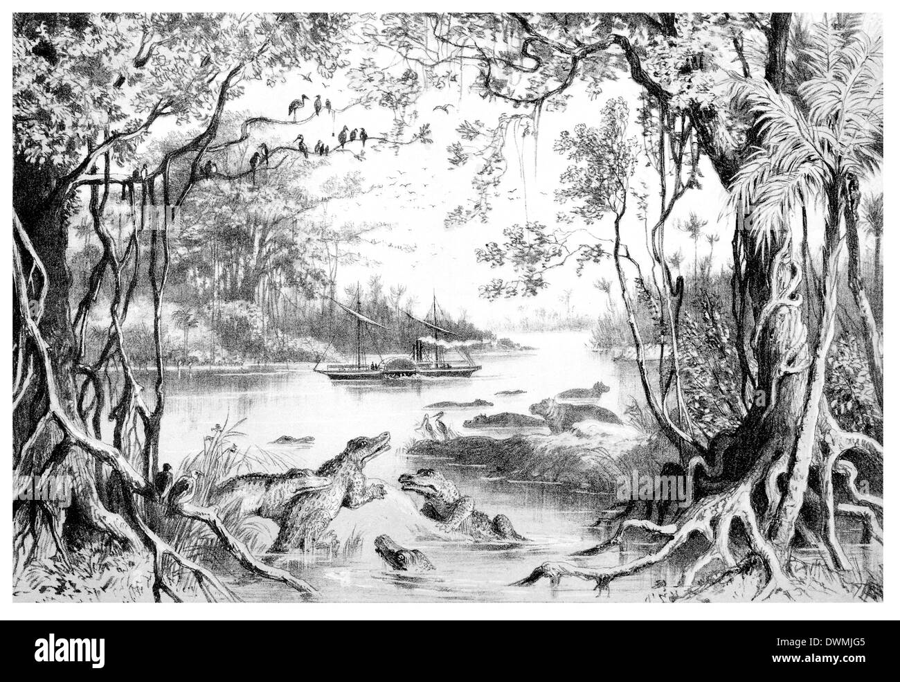 L'Em Robert sur le Zambèze Banque D'Images