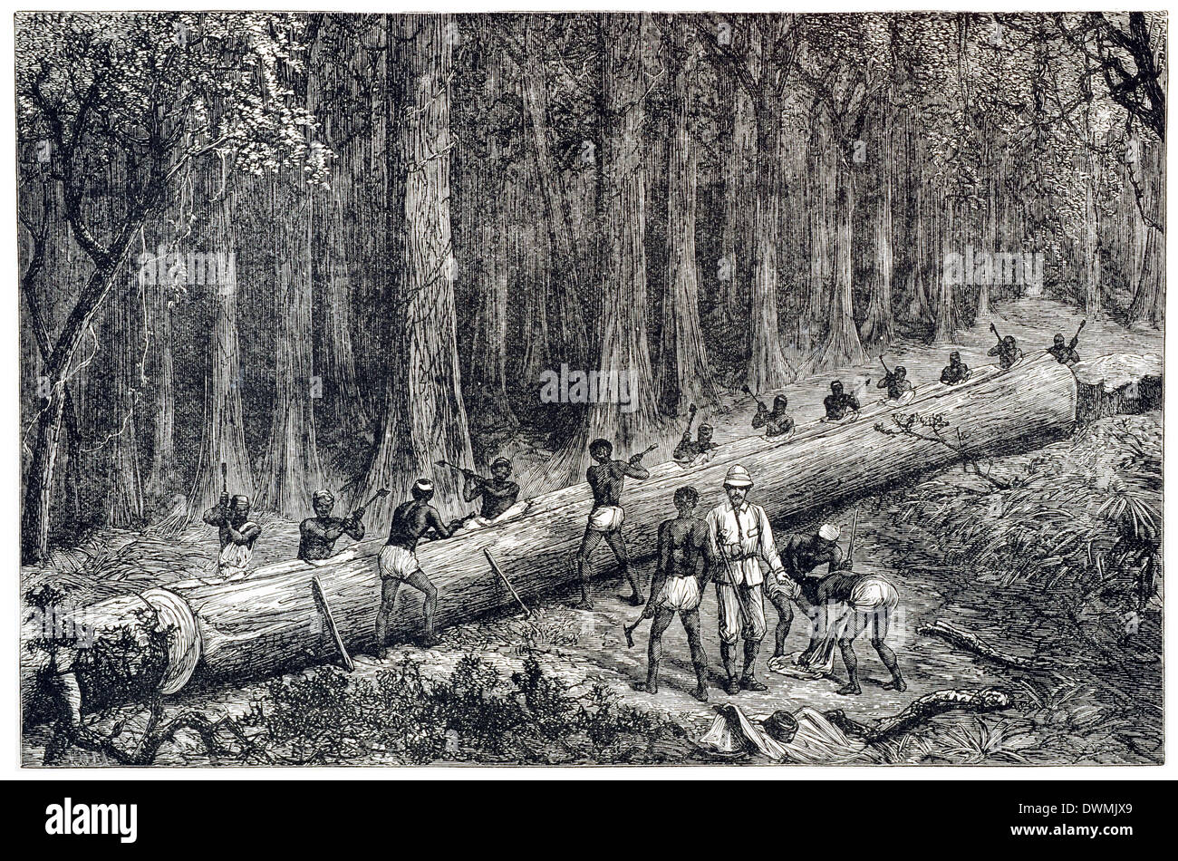 Découpe du nouveau canot livingstone Banque D'Images