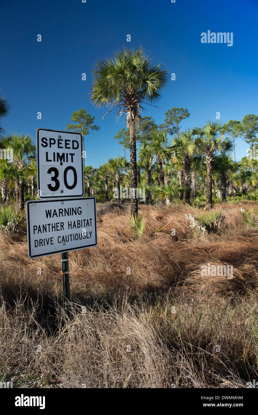 Un panneau routier dans la Picayune Strand State Forest prévient les conducteurs à conduire avec prudence pour protéger les espèces en Florida Panther. Banque D'Images