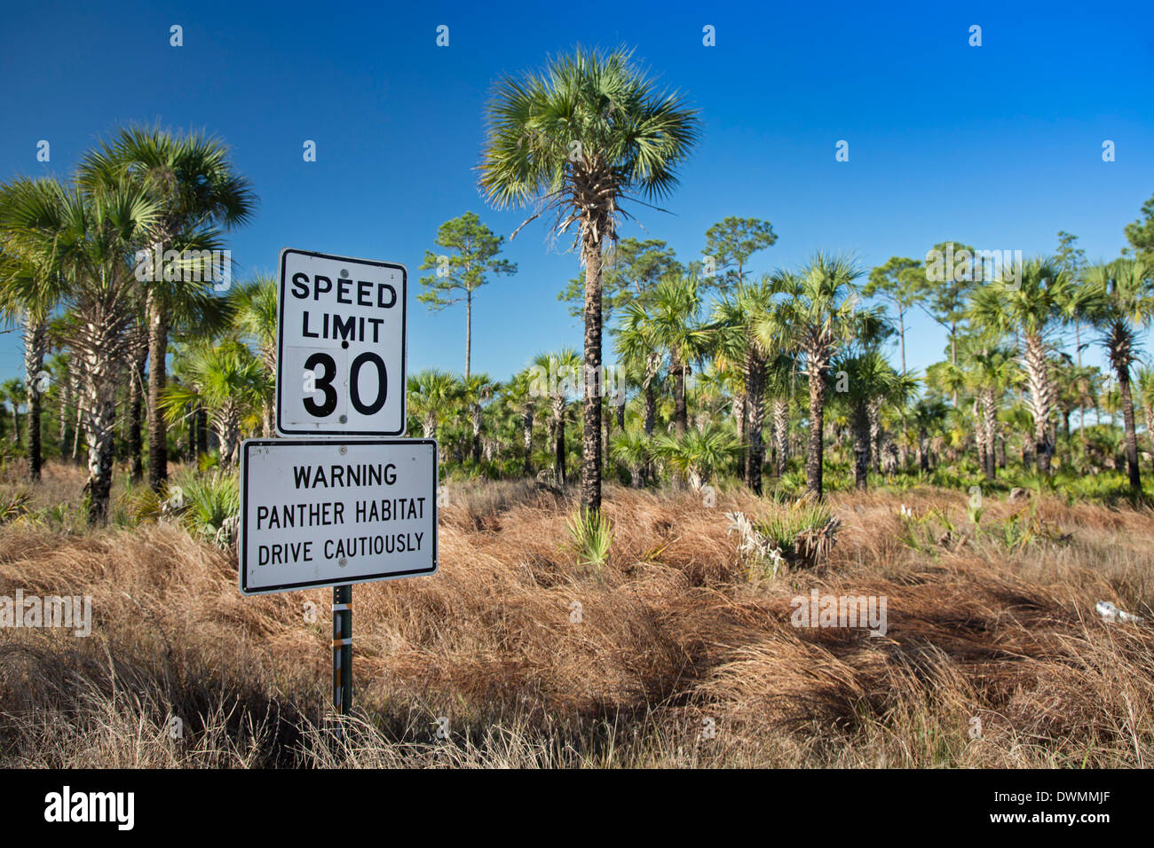 Un panneau routier dans la Picayune Strand State Forest prévient les conducteurs à conduire avec prudence pour protéger les espèces en Florida Panther. Banque D'Images