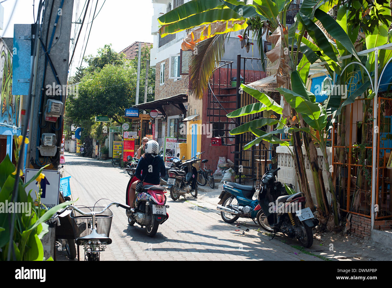Road dans le tranquille quartier verdoyant proche de canal Ping, Chiang Mai, Thaïlande du nord Banque D'Images