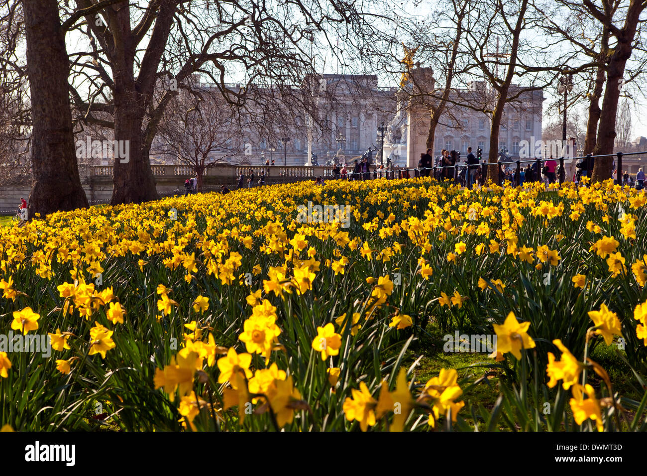 La belle vue sur le palais de Buckingham à partir de le parc de St James au printemps. Banque D'Images