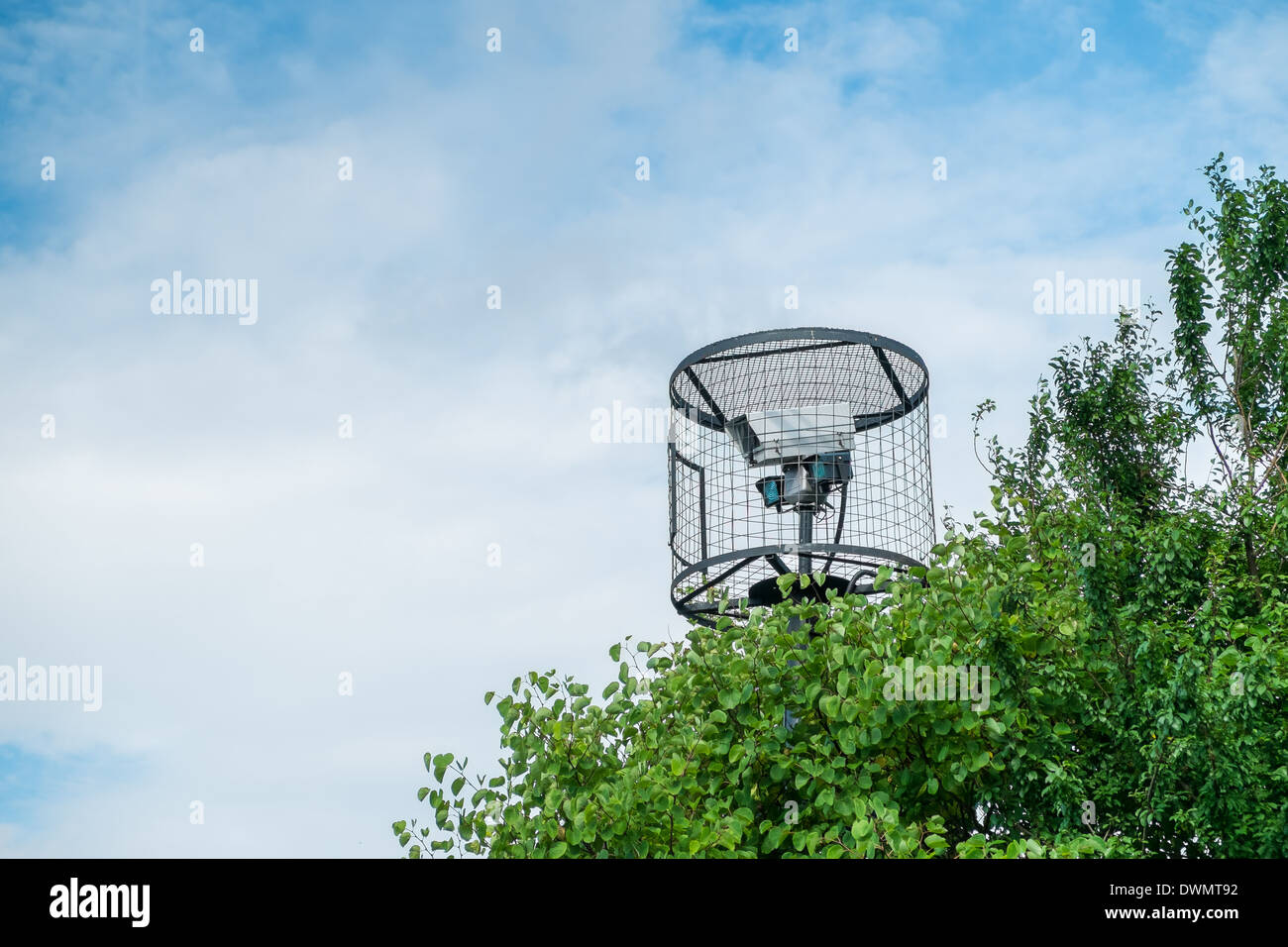 En cage d'une caméra de sécurité caché dans un arbre Banque D'Images En cage d'une caméra de sécurité caché dans un arbre Banque D'Images