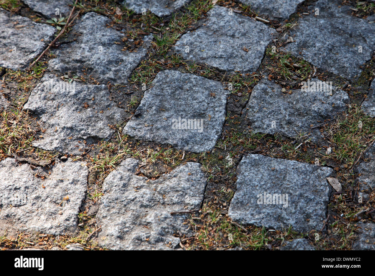 Cobblestone Banque D'Images