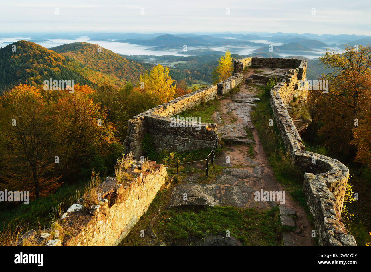 Wegelnburg château, de la Forêt du Palatinat, Rhénanie-Palatinat, Allemagne, Europe Banque D'Images