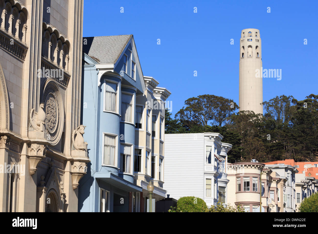 La Coit Tower, North Beach, San Francisco, Californie, États-Unis d'Amérique, Amérique du Nord Banque D'Images