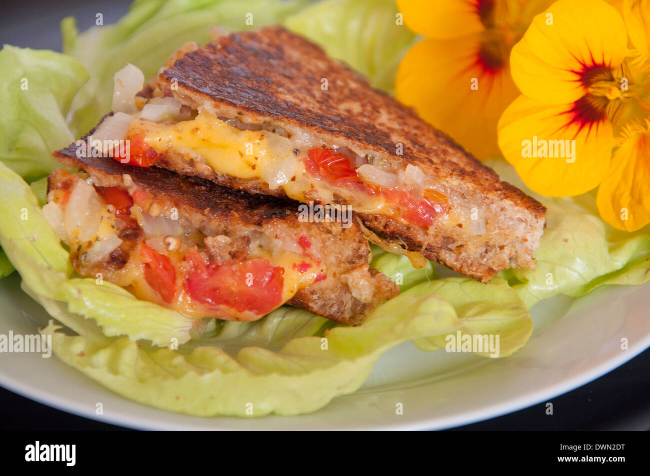 L'Oignon au fromage grillé sandwich tomate sur la Laitue Banque D'Images