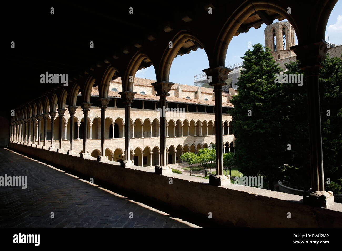 Cloître du Monastère de Pedralbes, Barcelone, Catalogne, Espagne, Europe Banque D'Images