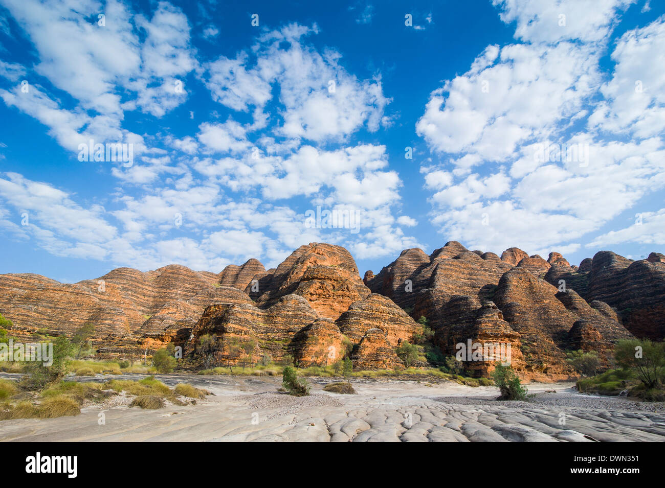 Rivière à sec avant de les monticules dans le Parc National de Purnululu, Site de l'UNESCO, de montagnes de Bungle Bungle, Australie Banque D'Images