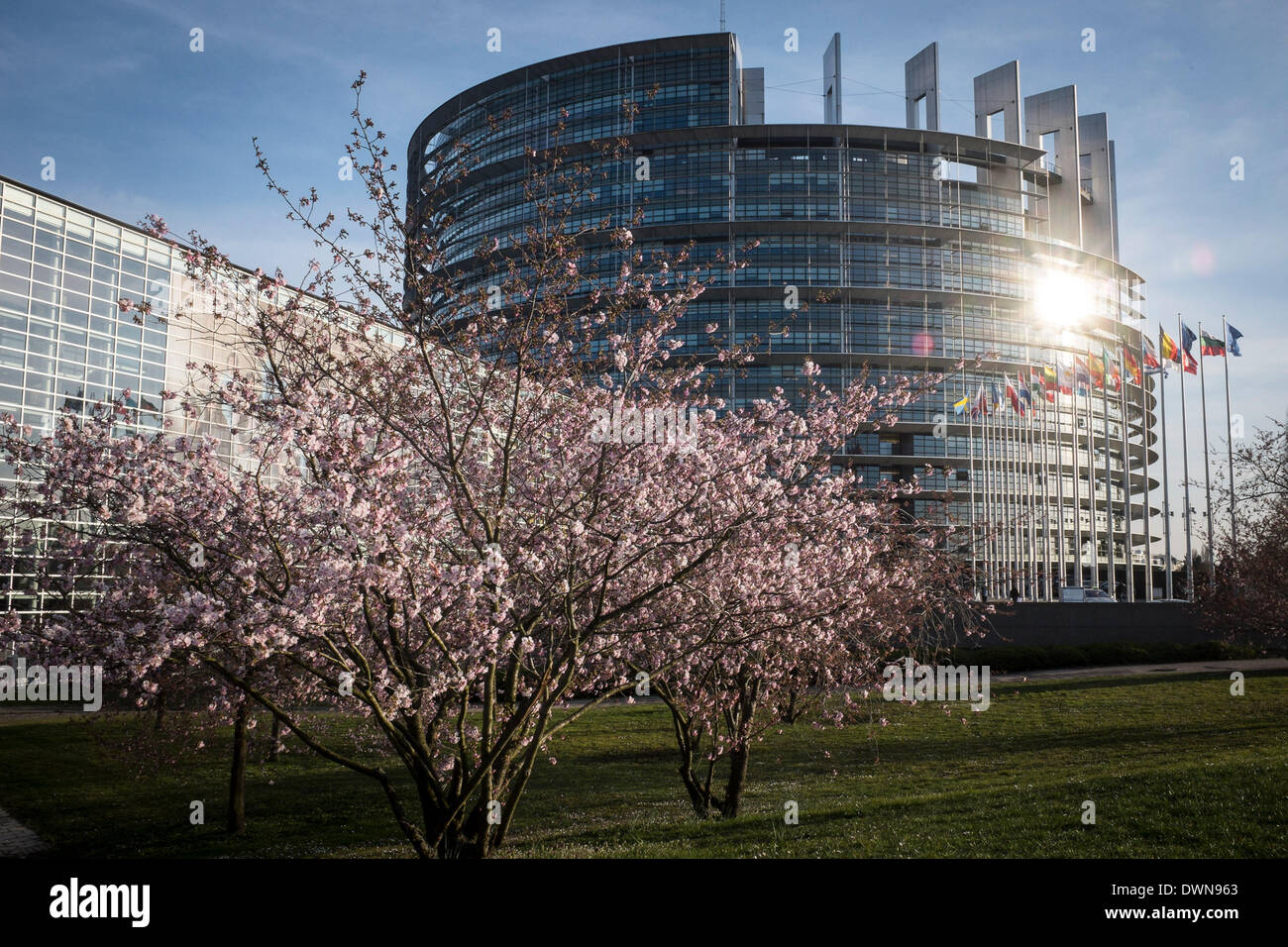 Strasbourg, Bxl, France. Mar 11, 2014. Des arbres fleuris en face de siège du Parlement européen à Strasbourg, en France, le 11.03.2014 © Wiktor Dabkowski/ZUMAPRESS.com/Alamy Live News Banque D'Images