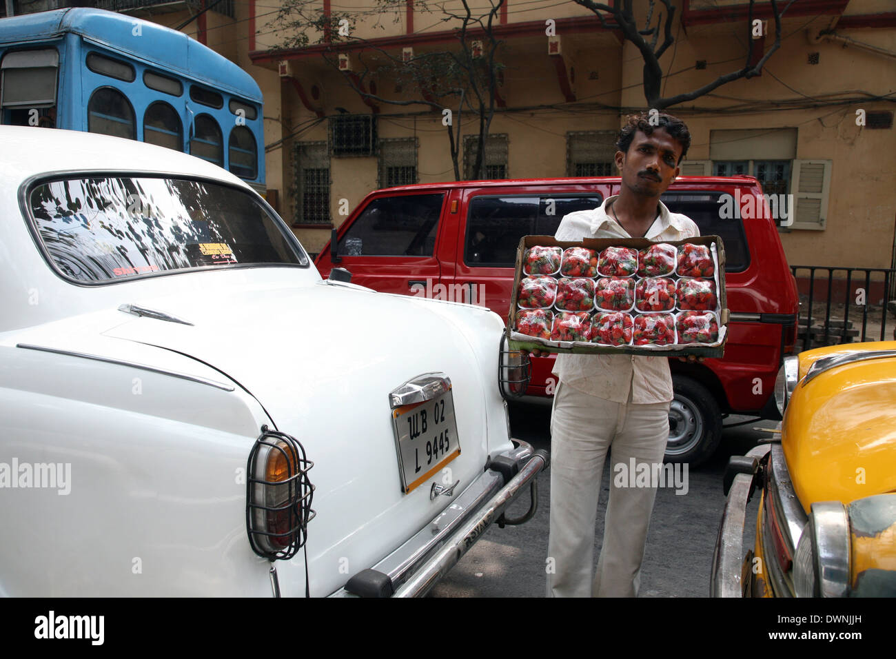 Rues de Calcutta. Les vendeurs de rue la vente de fraises, 12 janvier 2009. Banque D'Images