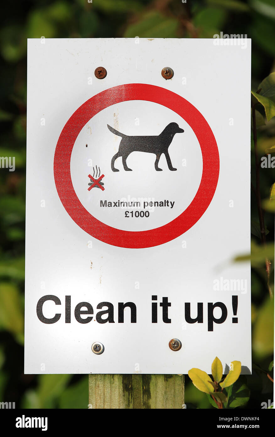 'Nettoyer' avis de sanction avertissement pour les propriétaires de chiens Banque D'Images