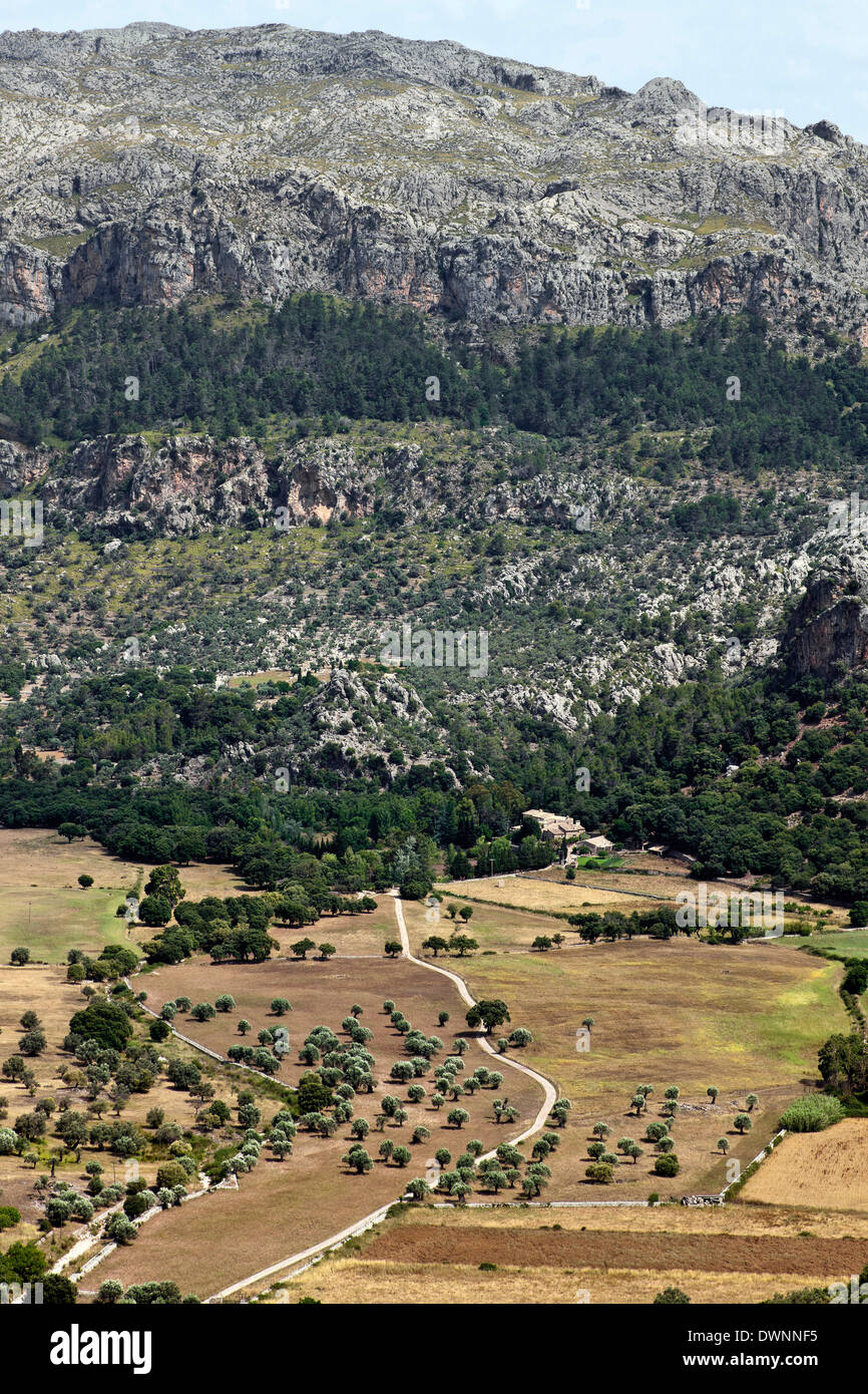 Paysage dans les montagnes de Tramuntana, Majorque, Îles Baléares, Espagne Banque D'Images