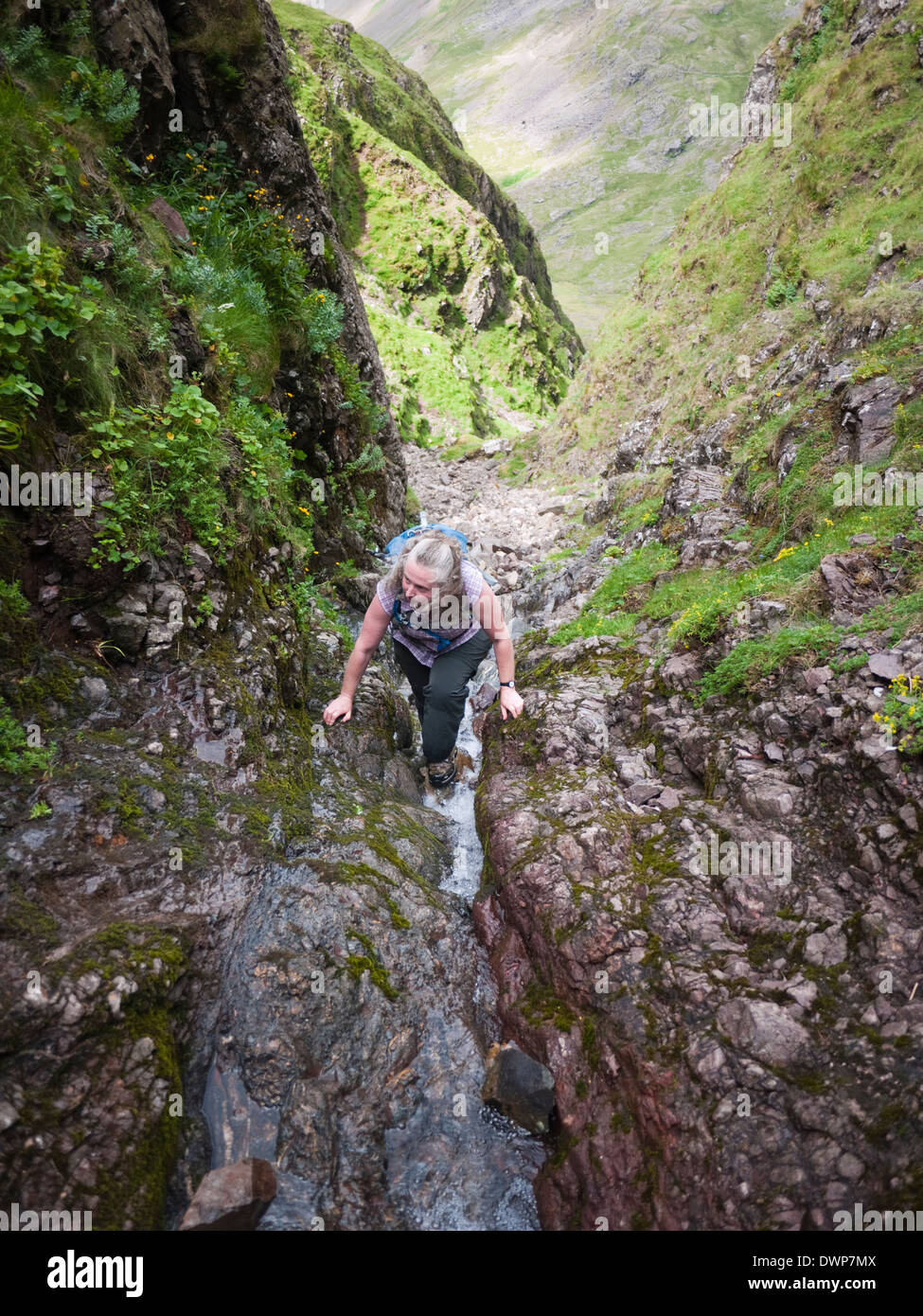 Une femelle hill walker brouille jusqu'en biais vers la bande sur Gill Grand fin - sur le massif, le Scafell Lake District, Cumbria Banque D'Images