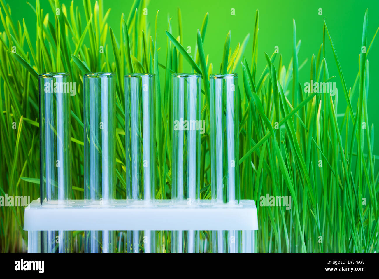 Tubes à essai de remorquage avec de l'herbe verte sur fond Banque D'Images