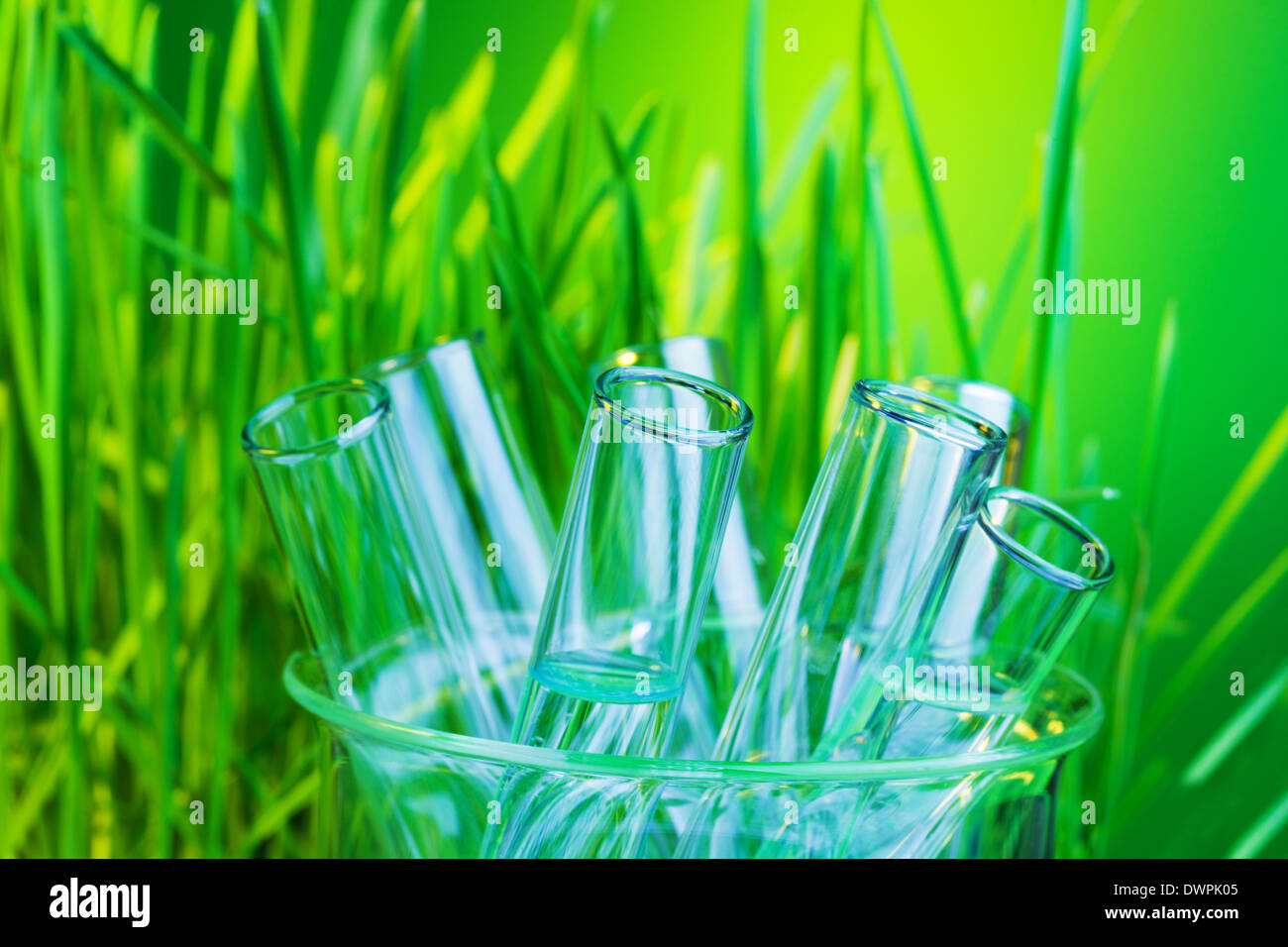 De nombreux tubes à essai en verre de laboratoire dans la fiole avec de l'herbe verte fraîche sur l'arrière-plan Banque D'Images