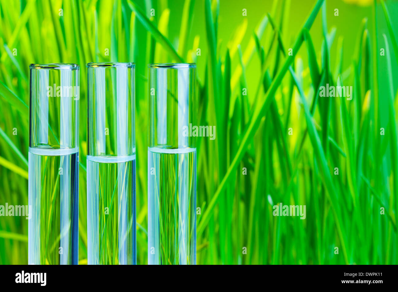 De nombreux tubes à essai en verre avec de l'herbe verte sur fond Banque D'Images