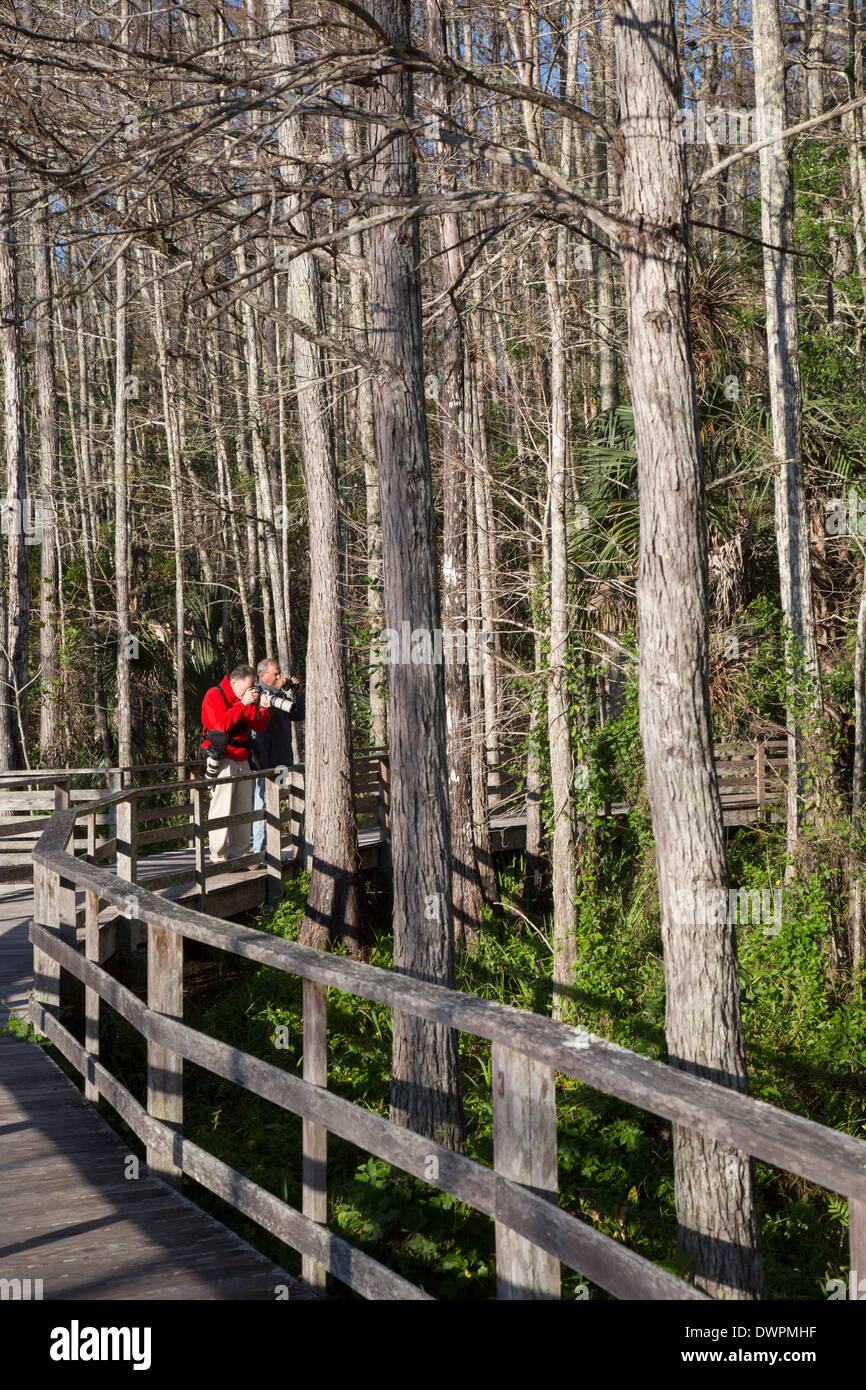 Naples, Floride - Un photographe sur la promenade à la National Audubon Society's Corkscrew Swamp Sanctuary. Banque D'Images Naples, Floride - Un photographe sur la promenade à la National Audubon Society's Corkscrew Swamp Sanctuary. Banque D'Images