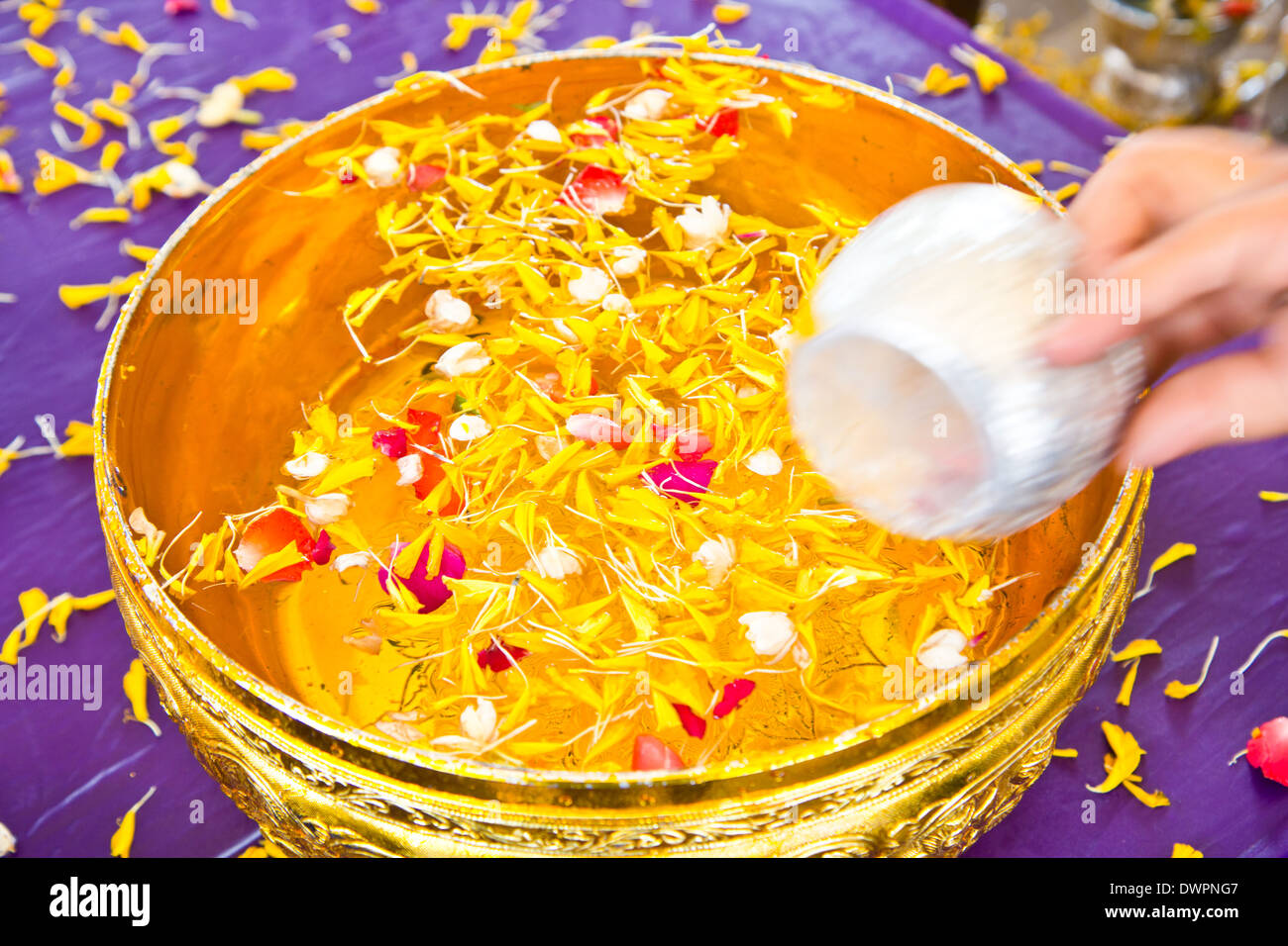 Dans un bol d'eau mélangé avec le parfum et fleurs pour Songkran festival, Thaïlande Banque D'Images