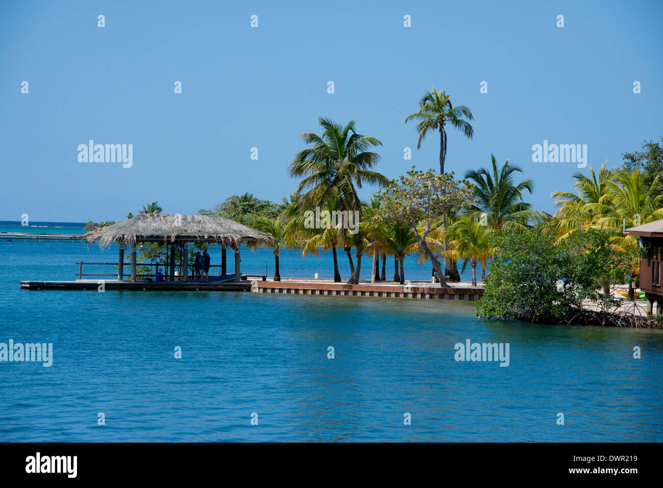 Le Honduras, les îles de la baie du Honduras, Roatan, Sandy Bay, Anthony's Key. Resort pier le long scenic caye. Banque D'Images