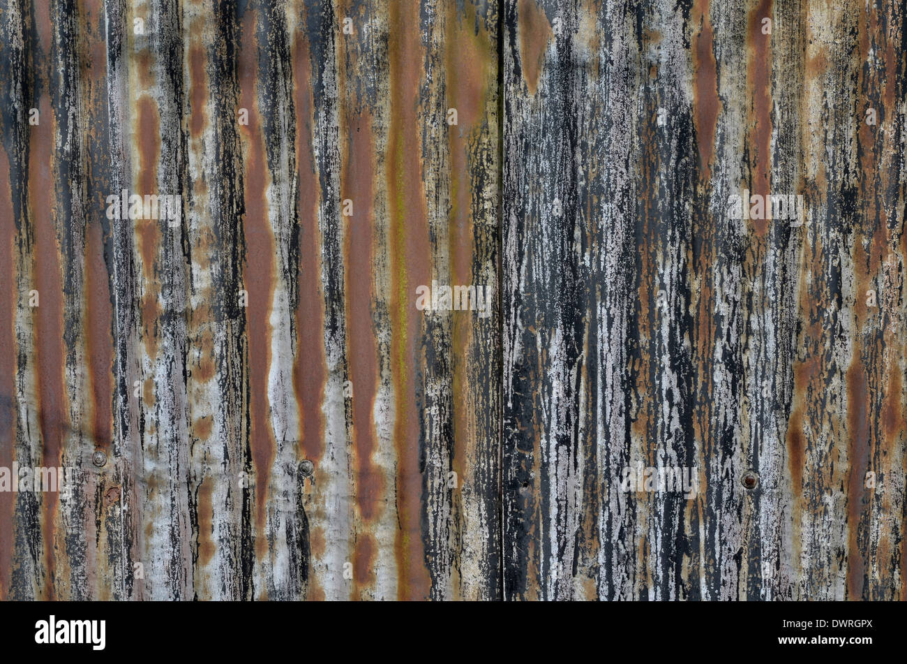 Texture abstraite de métal rouillé de tôle d'acier déchirée.La paroi latérale en tôle galvanisée d'un hangar abandonné a disparu avec le temps. Banque D'Images