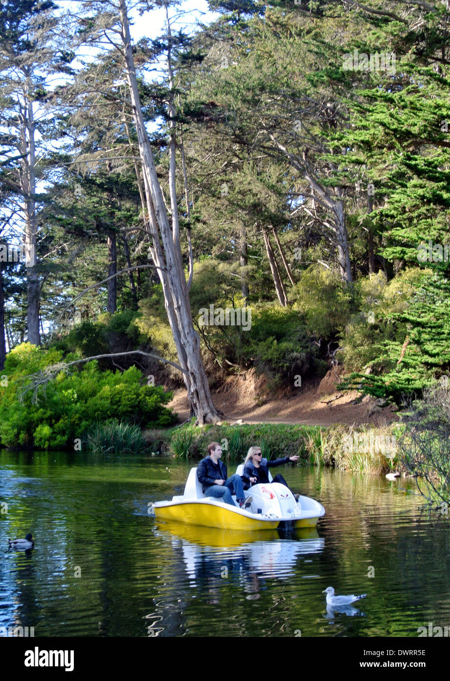 Couple paddle pédalo sur Stow Lake dans le parc du Golden Gate Banque D'Images