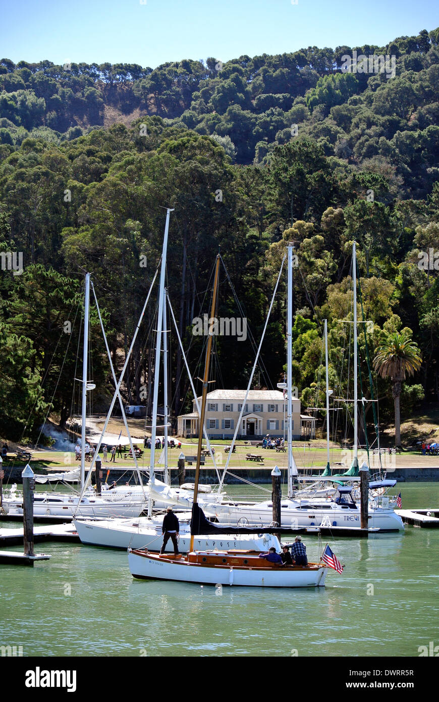 Voiliers quais à Ayala cove à Angel Island State Park Banque D'Images