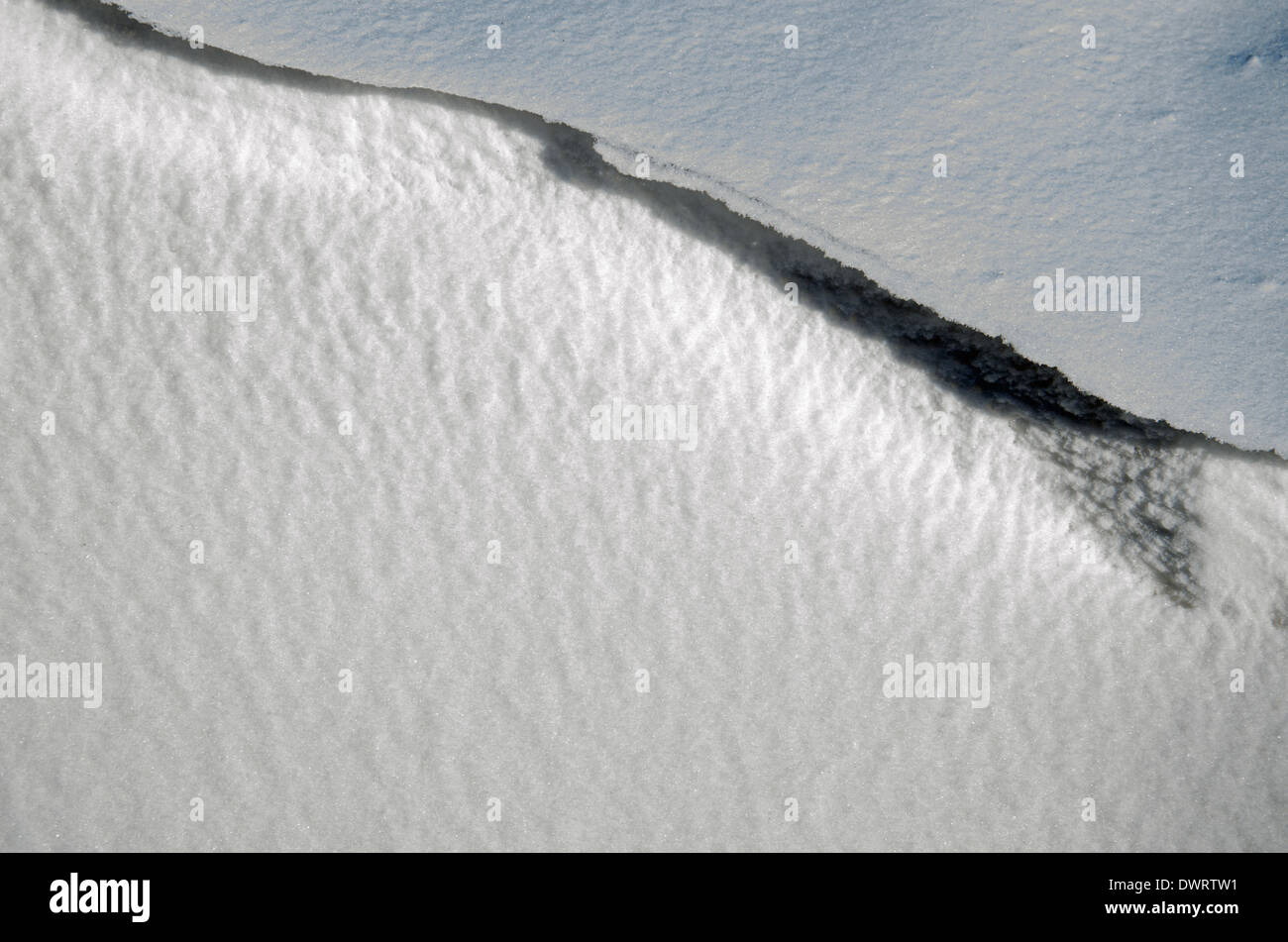Macrophotographie de neige Banque D'Images